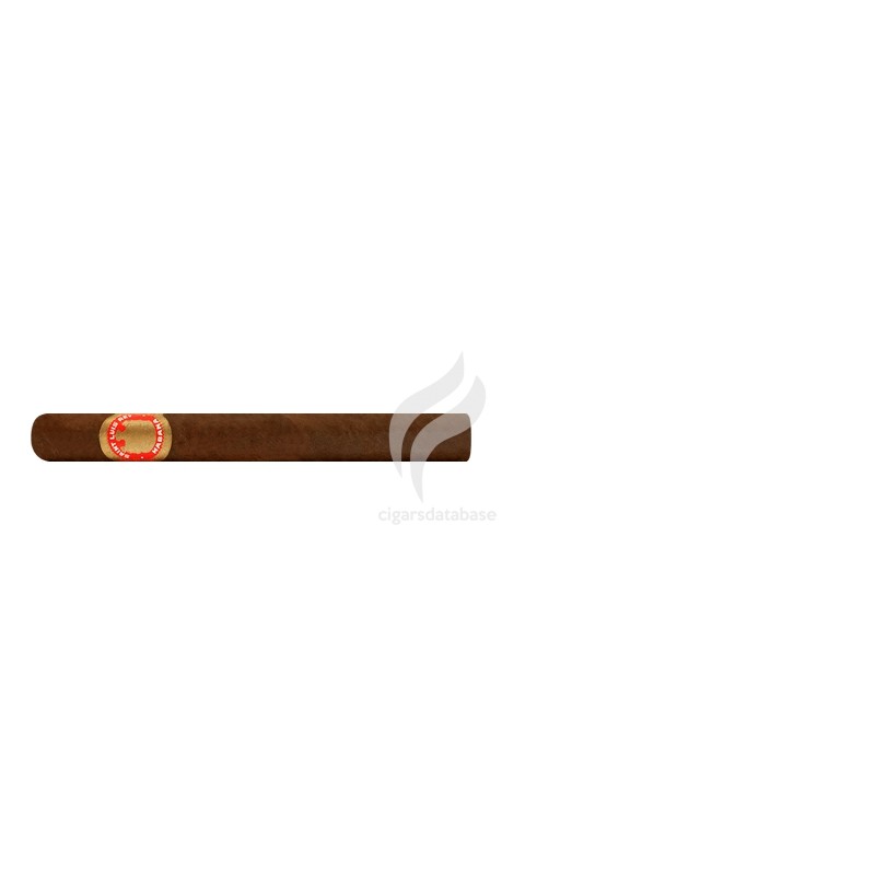 SAINT LUIS REY-CORONAS-Stick-502