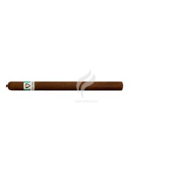 VEGUEROS-ESPECIALES NO.1-Stick-508