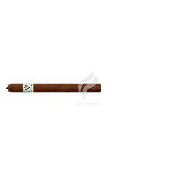 VEGUEROS-ESPECIALES NO.2-Stick-509