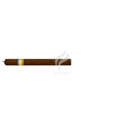 BEHIKE-CORONAS ESPECIALES-Stick-533