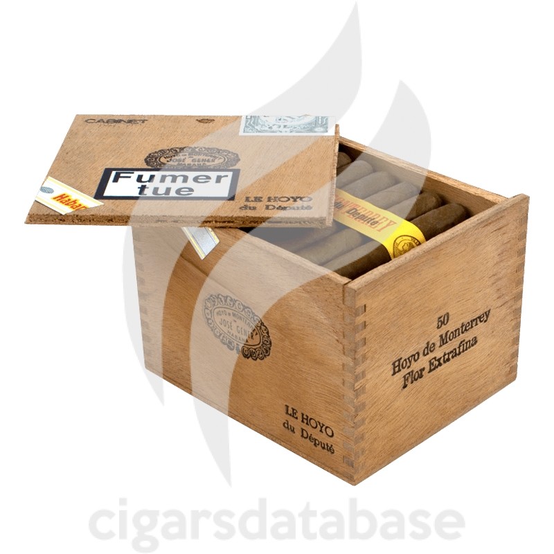 HOYO DE MONTERREY-LE HOYO DU DEPUTE-Box-573