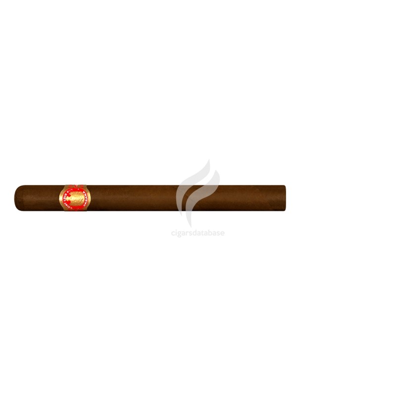 SAINT LUIS REY